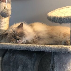 Meet your Posher, Brandy